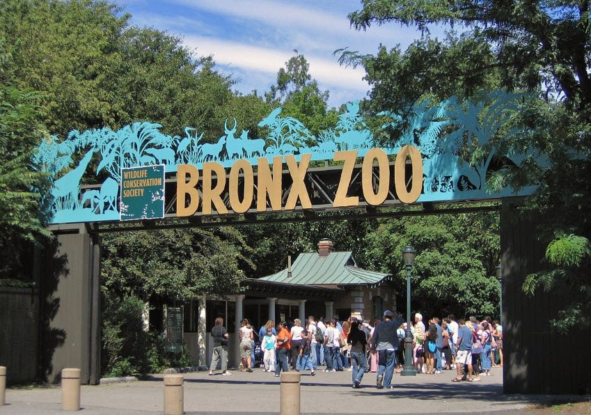 Bronx Zoo, New York, USA